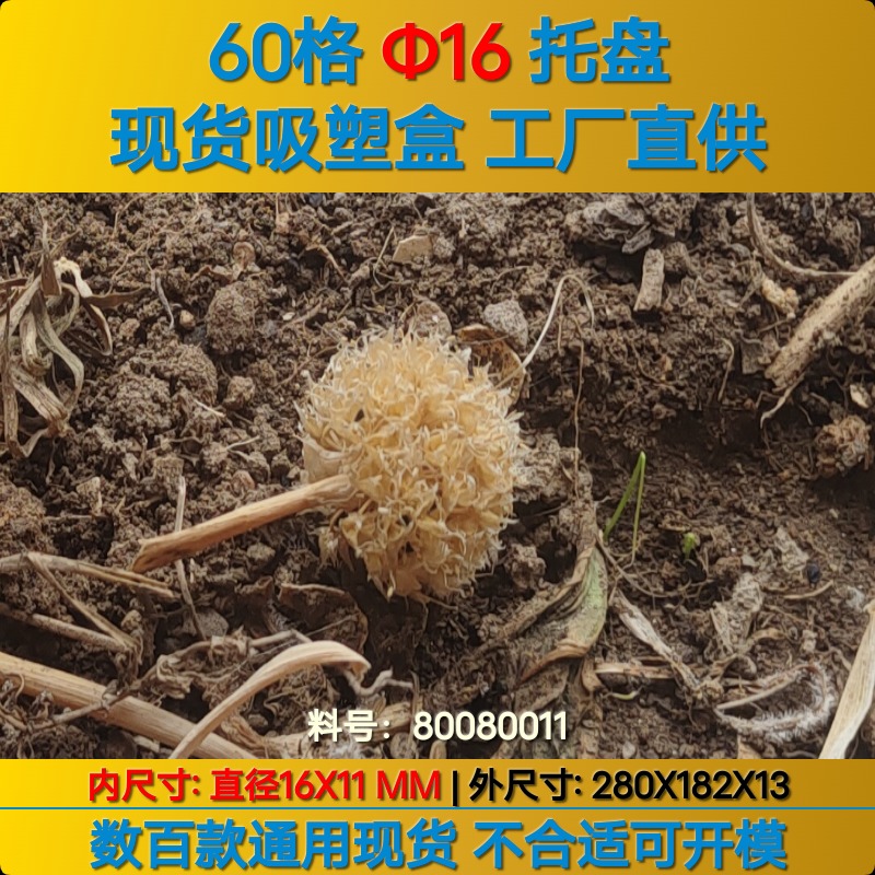 Round 80080011 φ16×11mm Blister Box